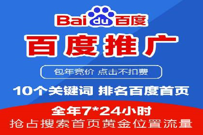 百度竞价赚钱的技巧与成功案例探讨